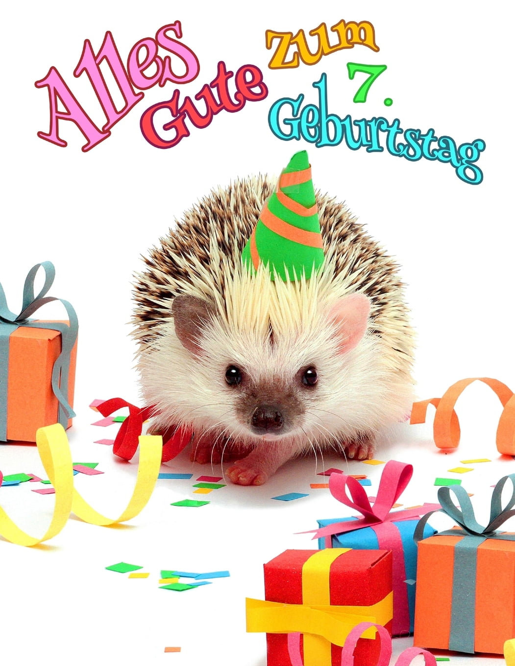 Alles Gute zum 7. Geburtstag Besser als eine Geburtstagskarte! Niedliches IgelGeburtstagsbuch