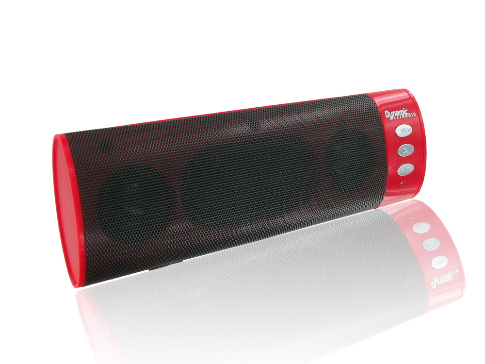 dynaudio portable speaker