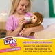 thumbnail image 3 of Little Live Pets My Baby Monkey - Adorable pet Monkey with Over 50 Sounds & Reactions. Expressive Moving Mouth. Mango Sucks his Thumb, Feeds from his Bottle, & Hangs from his Hands & feet!, 3 of 5