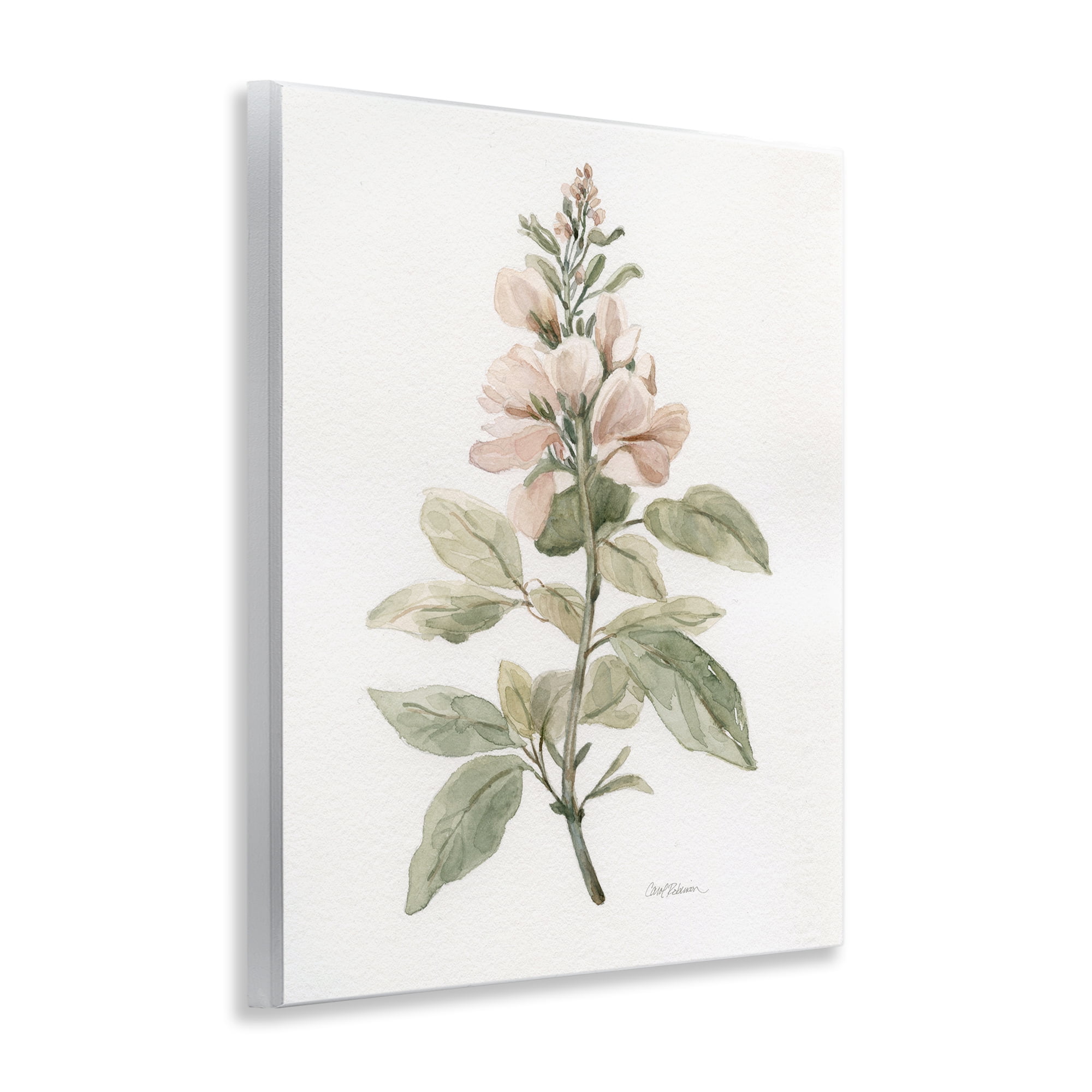 Stupell Industries Subtle Watercolor Botanicals Plants & Flowers Painting Unframed Art Print Wall Art, 11 x 14