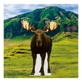 thumbnail image 4 of Life Size Cardboard Cutout Standup | Waterproof | Animals - lifesize (), 4 of 5