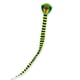 thumbnail image 2 of Ounissouiy Cometa de fibra de vidrio con forma de Animal portátil, cometas de cola larga, actividad al aire libre, jardín, patio delantero, Juegos de césped 15m, 2 of 6