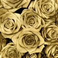 thumbnail image 2 of Bennett, Kate 26x26 Gold Ornate Wood Framed with Double Matting Museum Art Print Titled - Gold Roses, 2 of 4
