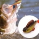 thumbnail image 5 of Señuelos de pesca para cola, señuelos de plástico blando con anzuelos afilados ocultos premontados, 5 of 5