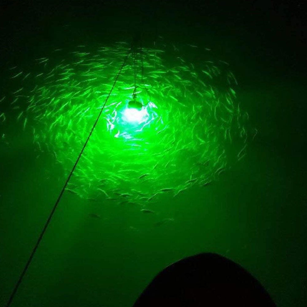 Berrywho Underwater Fishing Light Dc//ac12-24v Ip68 Waterproof Submersible Led Fishing Lamp Blue
