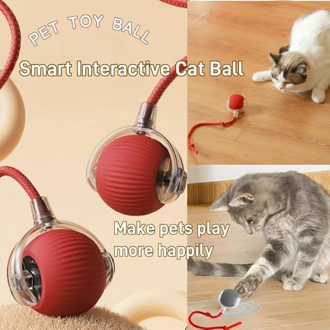 Pouncepal Upgrade Cat Toy USB Charge, 360° Smart Automatic Rolling Three Modes, Fast Charging and Long Lasting, Adaptable to All Cats