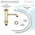 thumbnail image 3 of Avallon Single Hole, Single-Handle Wheel, Bathroom Faucet in Brushed Gold, 3 of 11