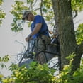 thumbnail image 5 of Muddy MLS1150 Stronghold 1.5 Foot Ladder Treestand, Black, One Size, 5 of 13