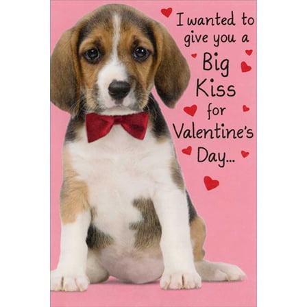 Recycled Paper Greetings Puppy Wanted To Give Big Kiss Humorous / Funny Dog Valentine's Day Card