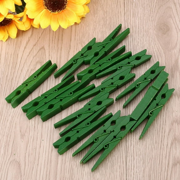 40pcs 2.9 Inch Wooden Clothespins Clothes Pegs (Green)