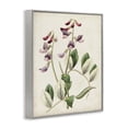 thumbnail image 3 of Stupell Industries French Country Vintage Foxglove Study Gray Framed Giclee Art, 16 x 20, by Ridgeway, 3 of 8