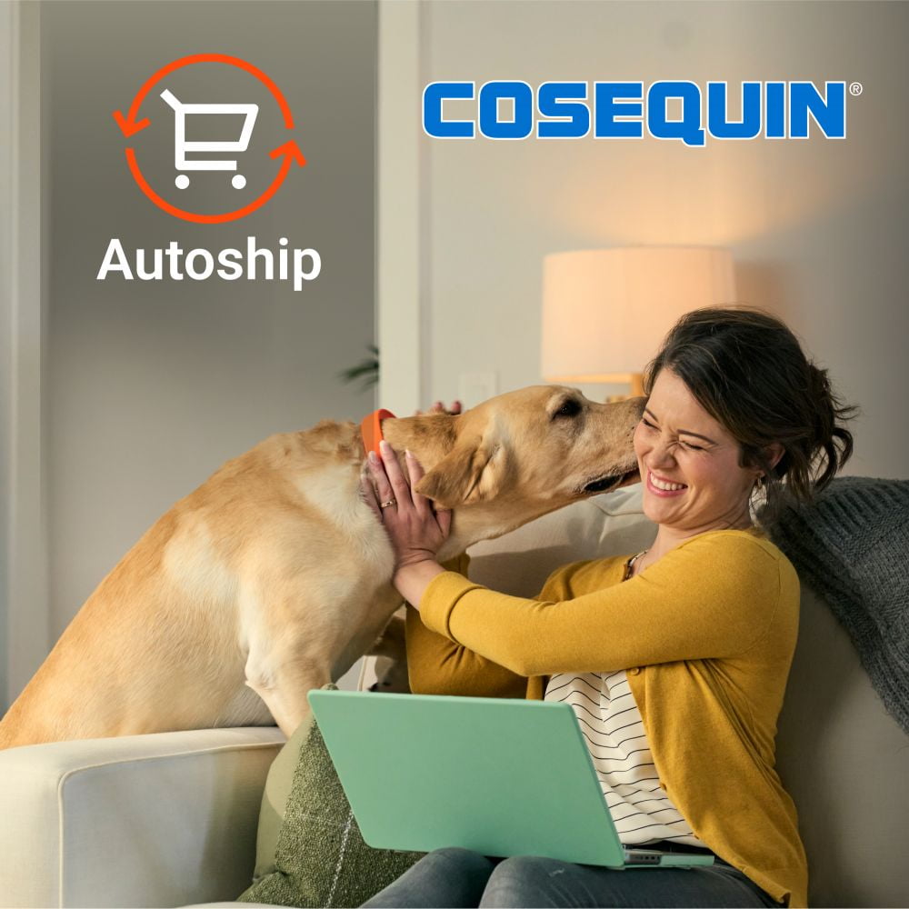 Nutramax Laboratories Cosequin Maximum Strength Joint Health Supplement for Dogs - With Glucosamine, Chondroitin, MSM, and Hyaluronic Acid, 75 Chewable Tablets