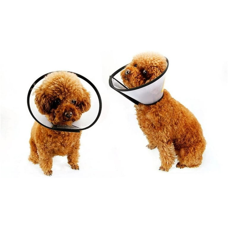 Heldig Vivifying Recovery Pet Cone 8.1 Inches Lightweight Plastic