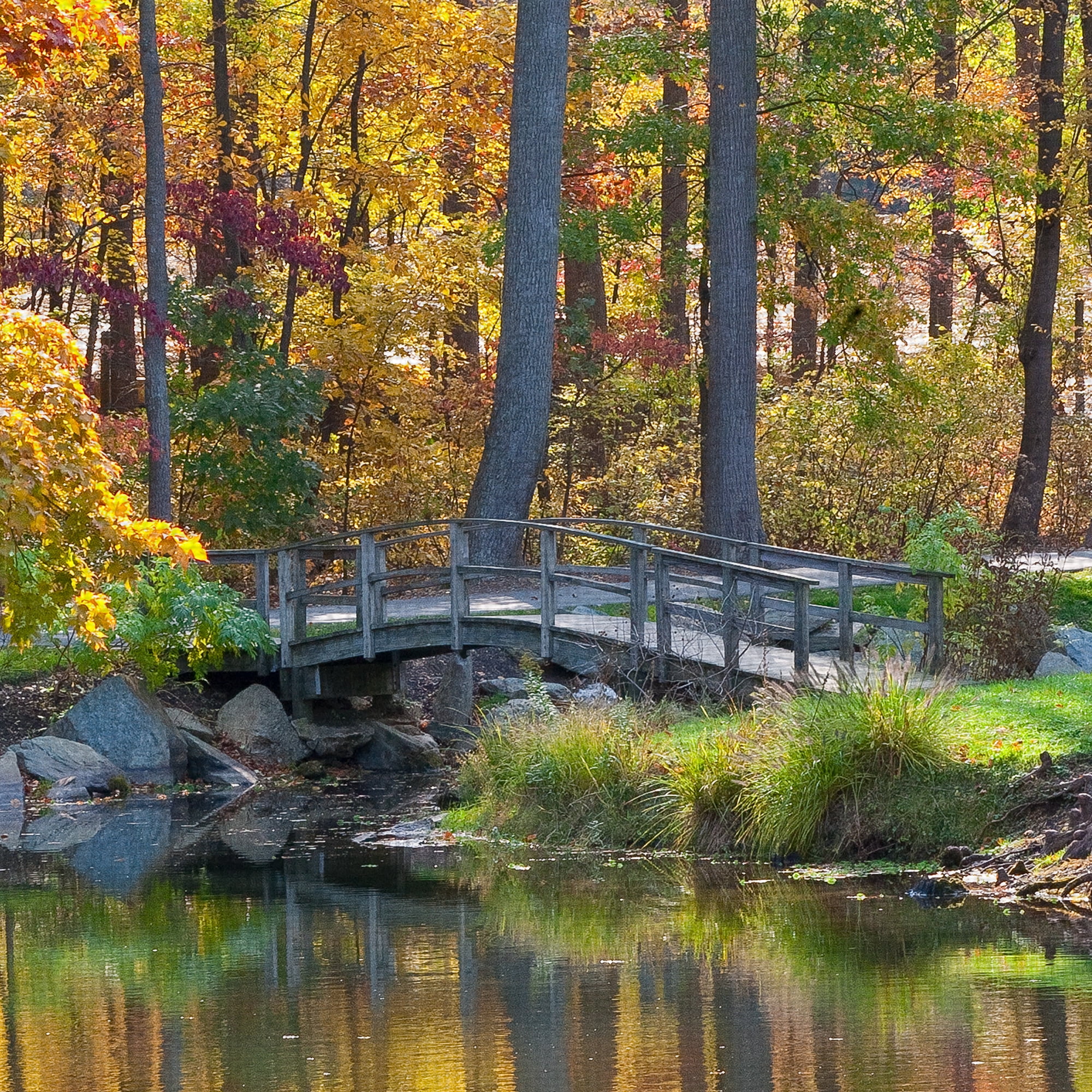 Masterpiece Art Gallery Bridge To Fall Autumn Forest By Robin Constable Hanson Canvas Art Print 24" x 36"