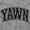Sport Grey, variant on Funny Sleep Varsity Athlete Yawn Joke Crewneck T Shirts Boy Girl Teen Brisco Brands S