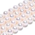 thumbnail image 2 of Natural Cultured Freshwater Pearl Beads Strands Round Creamy White 5.5~7mm Hole: 0.5mm 60~69pcs/strand 14.65 inch~15.63 inch(37.2~39.7cm), 2 of 5