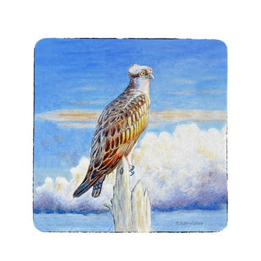 Betsy Drake Interiors Osprey Storm Coaster Set of 4