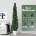thumbnail image 6 of WAASOSCON Christmas Tree, Christmas Decorations, 2PCS 5FT Artificial PE Christmas Tree W/Stand Holiday Season Indoor Outdoor Green, Fake Tree, 6 of 9