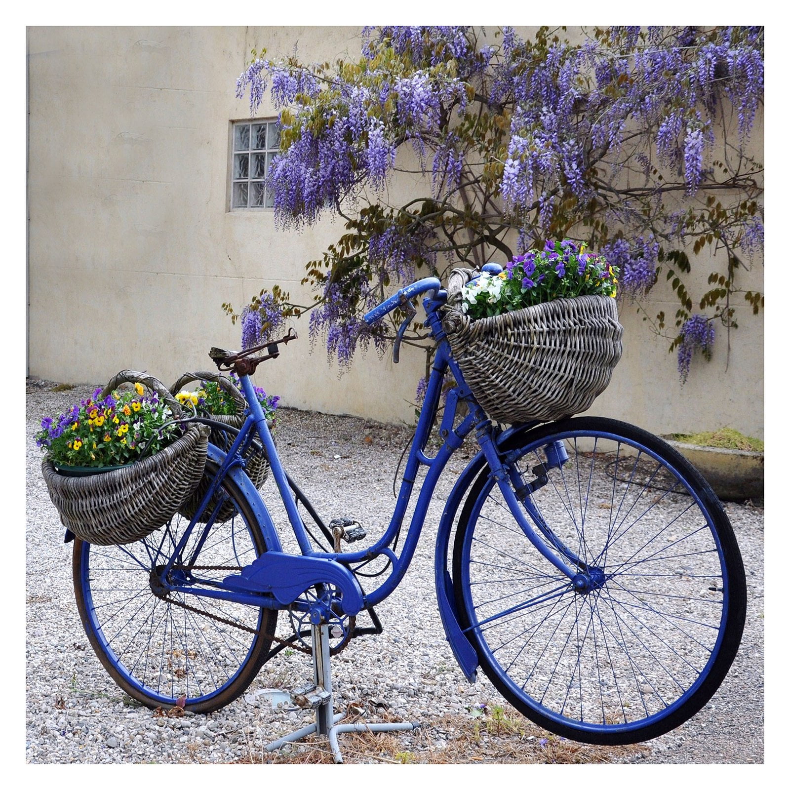 West of the Wind Blue Bike Outdoor Canvas Wall Art