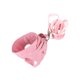 thumbnail image 5 of unbranded Arnés Para Mascotas Pequeñas En Con Correa Y A Rayas, 5 of 8
