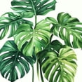 thumbnail image 6 of PIKWEEK Palm Leaves with Lush Branches and Leaves Tablecloth, Tropical Jungle Palm Leaves with Charming Colors, Round Table Cover White, 6 of 8
