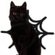 thumbnail image 5 of Decoraciones de Halloween, adornos de Halloween, regalos de Halloween, disfraz de gato o perro de Halloween, disfraz de araña para mascota, accesorios de cosplay, decoración de Halloween para mascotas, 5 of 8