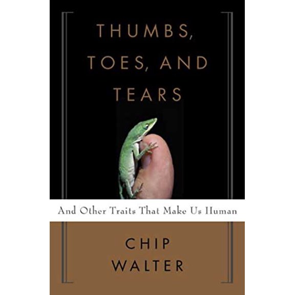 Pre-Owned Thumbs, Toes, and Tears: And Other Traits That Make Us Human, 9780802715272, 0802715273, Hardcover, First Edition edition