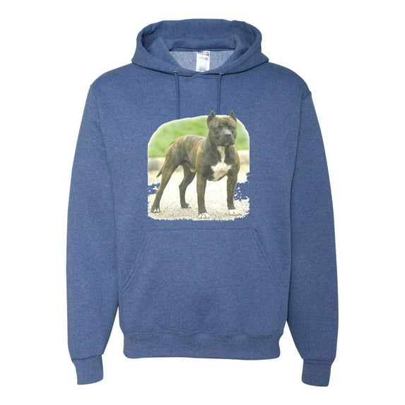 Wild Bobby, Pitbull Dog Animal Pet Lover, Dog Lover, Unisex Graphic Hoodie Sweatshirt, Vintage Heather Blue, Medium