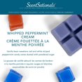 thumbnail image 3 of ScentSationals Scented Wax Cubes - Whipped Peppermint Cream, 3 of 4