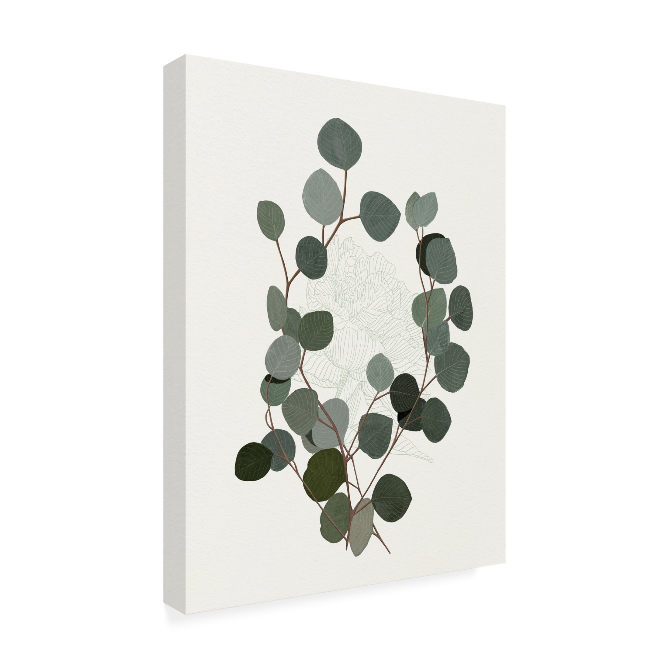 Trademark Fine Art Katie O'Shea Eucalyptus Leaves I Canvas Wall Art