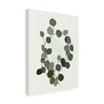 thumbnail image 4 of Trademark Fine Art Katie O'Shea Eucalyptus Leaves I Canvas Wall Art, 4 of 4