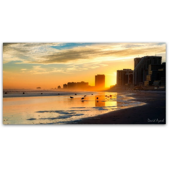 Trademark Fine Art "Atlantic City Sunset" Canvas Art by David Ayash