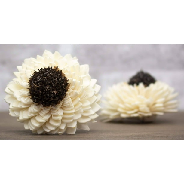 Sola Wood Flowers Sun Zinnia Raw Thistle Eco Friendly Flowers Perfect For Easy Diy Wedding Bouquets Home Decorations Gifts And Flower Crafting 2 Pack Of 10 Walmart Com