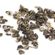 thumbnail image 3 of Té de primavera Biluochun té Bi Luo Chun bebida elegante para familias un buen regalo para tus amigos durante varias veces de preparación ANGGREK Otros, 3 of 8