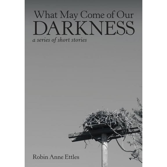 What May Come of Our Darkness: a series of short stories, (Paperback)