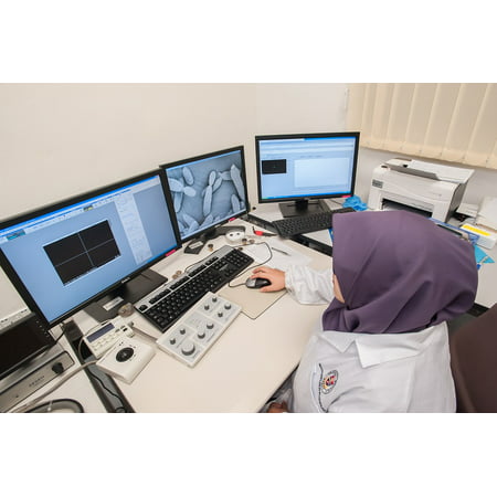 Canvas Print Universiti Malaysia Sabah Scanning Electron Microscope Stretched Canvas 10 x