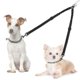 thumbnail image 1 of Double dog collar, no confusion 360 ° rotating reflective lead attachment adjustable length, 1 of 5