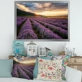 thumbnail image 3 of Designart 'Dramatic Clouds and Sunrise Over Lavender Field VI' Farmhouse Framed Art Print, 3 of 4