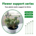 thumbnail image 5 of XIAOLE Plant Support Stake, Upgrade Fiberglass Plant Support Garden Stakes, Flower Plant Stem Support with Ring, Garden Plant Support Sticks for Indoor Outdoor Plants Rose (10.6 In), 5 of 9