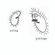 CafePress - Cilia Cillier Mug - 11 oz Ceramic Mug - Novelty Coffee Tea Cup