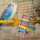 thumbnail image 2 of Bird cage, parrot, bells, toys, wooden ladders, perch, stand, bridge, swing, 2 of 3