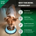 thumbnail image 5 of Iconic Pet Color Splash Stripe Non-Skid Pet Bowl, 32 Oz, Blue, 5 of 10