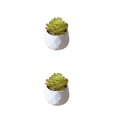 thumbnail image 2 of Injueey Bonsái de simulación suculenta artificial, arreglo de flores falsas, paisaje, sala de estar, suministros para el jardín y el hogar tipo 2 2Conjunto, 2 of 6