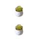 thumbnail image 4 of Yuarrent Simulación suculenta artificial Bonsai Flor falsa Paisaje en maceta Type2 NO2, 4 of 6