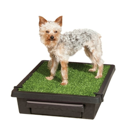 PetSafe Pet Loo Portable Dog Potty, Plastic Pet Toilet Alternative for Puppy Pads, House Training, S