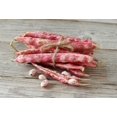 thumbnail image 2 of Organic Cranberry Beans, 3 Pounds — Non-GMO, Sproutable, Kosher, Raw, Vegan — by Food to Live, 2 of 7
