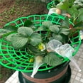 thumbnail image 6 of Protective Cover Gardening Potted Stand Funnel Shaped Strawberry Artifact Fruit Rot Proof Support and Protective Sunflower Bracket for Enhanced Growth, 6 of 8