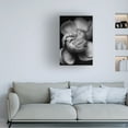 thumbnail image 2 of Canvas Wall Art - Francisco Ross 'White Flower' Wall Art for Living Room, Bedroom, or Office Décor by Trademark Fine Art - 22 x 32 Inches, 2 of 4