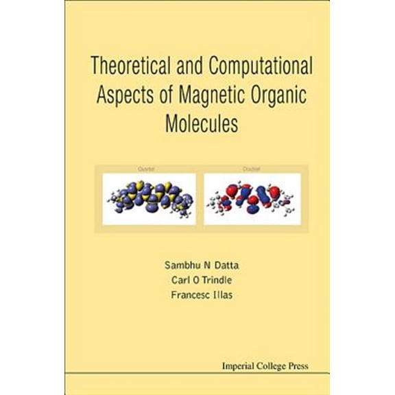 Pre-Owned Theoretical and Computational Aspects of Magnetic Organic Molecules, (Hardcover)