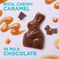 thumbnail image 3 of RUSSELL STOVER Easter Caramel Milk Chocolate Easter Bunny, 3 oz., 3 of 9